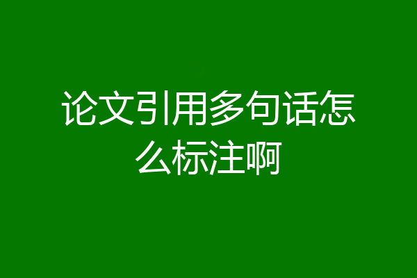 论文引用多句话怎么标注啊
