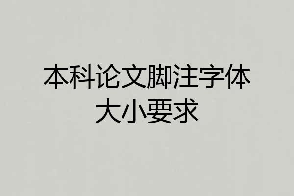 本科论文脚注字体大小要求