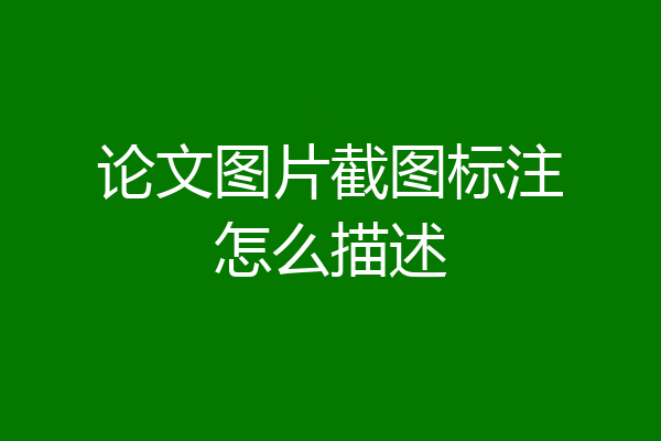 论文图片截图标注怎么描述