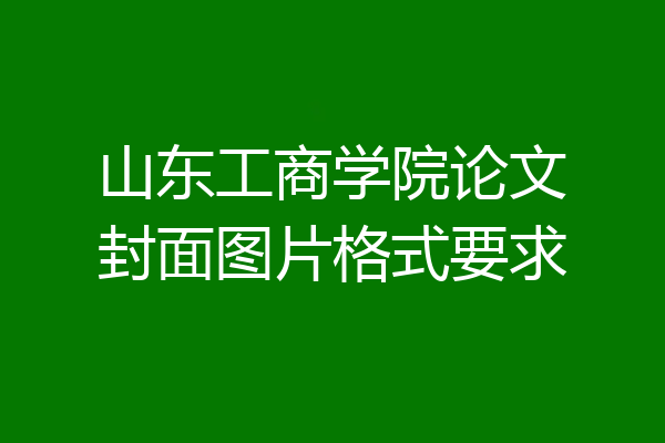 山东工商学院论文封面图片格式要求