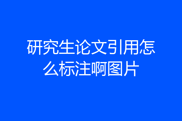 研究生论文引用怎么标注啊图片