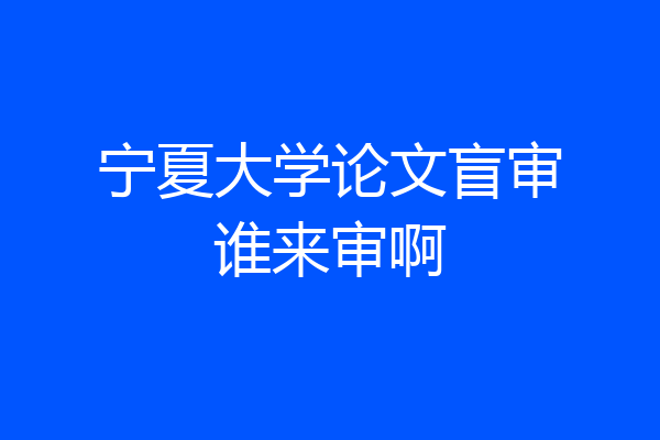 宁夏大学论文盲审谁来审啊