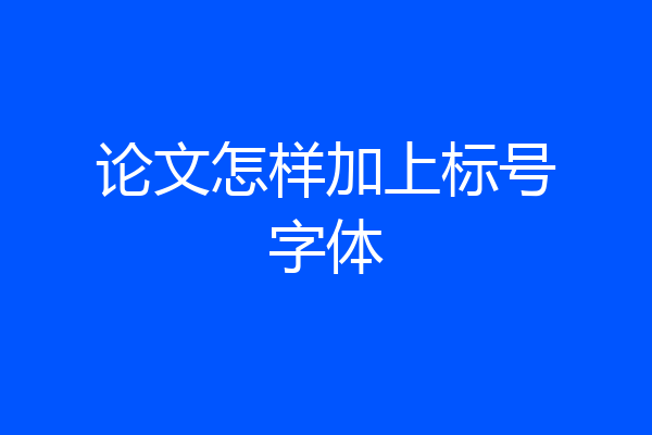论文怎样加上标号字体