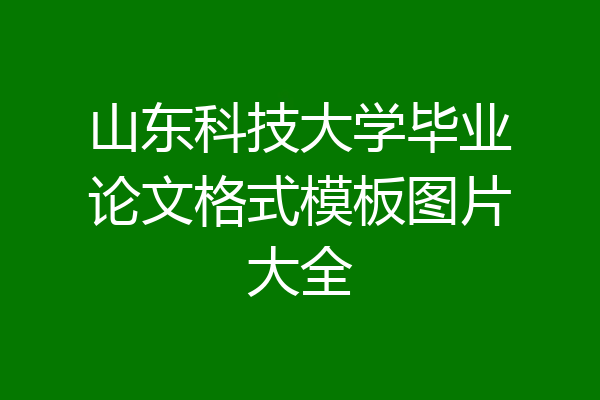山东科技大学毕业论文格式模板图片大全