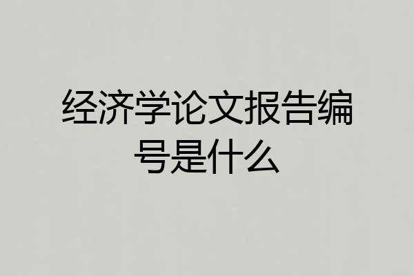 经济学论文报告编号是什么
