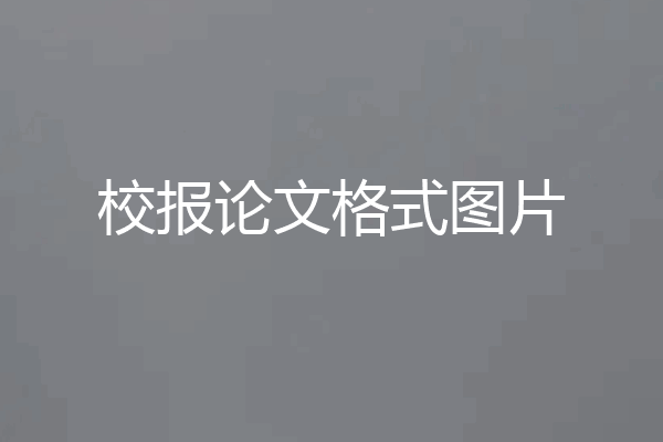 校报论文格式图片