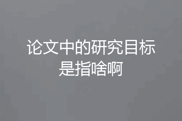 论文中的研究目标是指啥啊