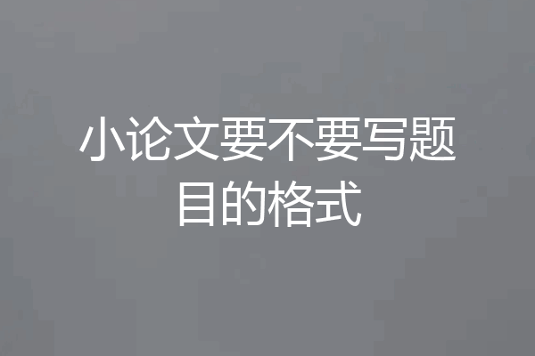小论文要不要写题目的格式