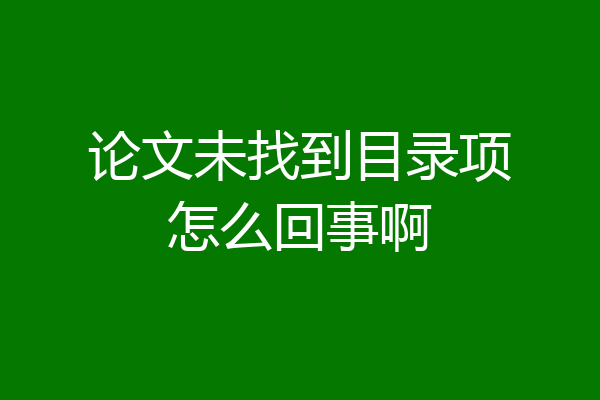 论文未找到目录项怎么回事啊