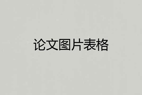 论文图片表格