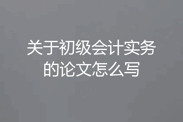 关于初级会计实务的论文怎么写