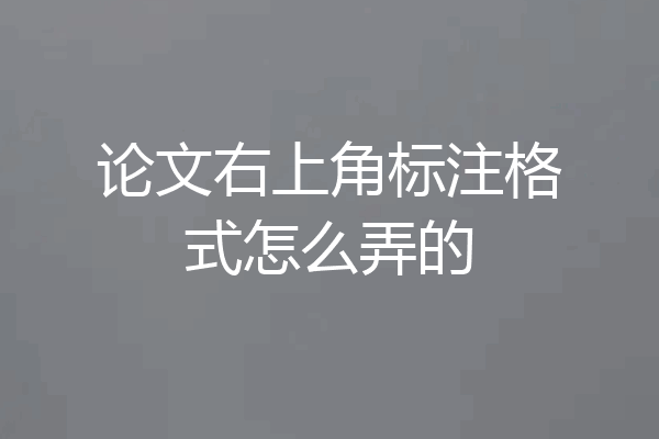 论文右上角标注格式怎么弄的