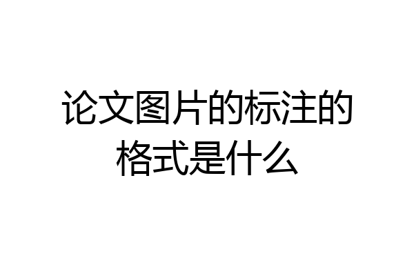 论文图片的标注的格式是什么