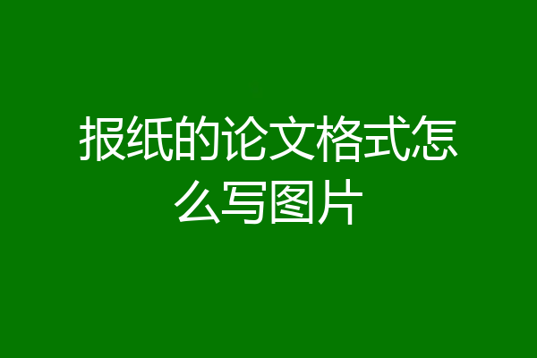 报纸的论文格式怎么写图片