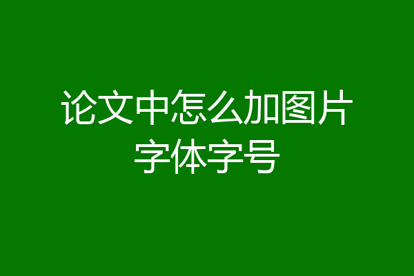论文中怎么加图片字体字号