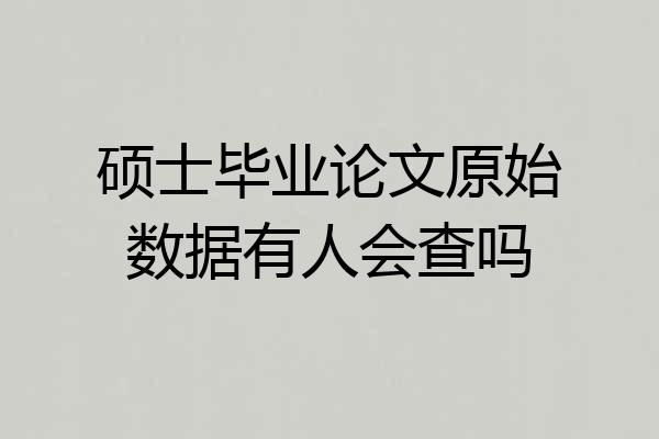 硕士毕业论文原始数据有人会查吗