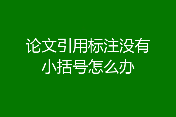 论文引用标注没有小括号怎么办