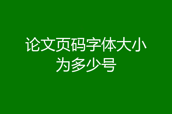 论文页码字体大小为多少号