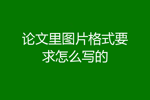 论文里图片格式要求怎么写的