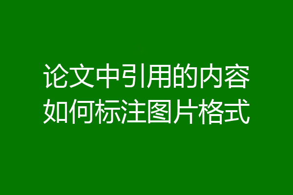 论文中引用的内容如何标注图片格式