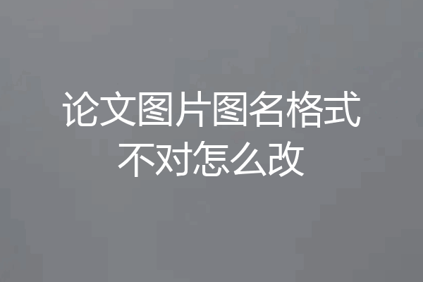 论文图片图名格式不对怎么改
