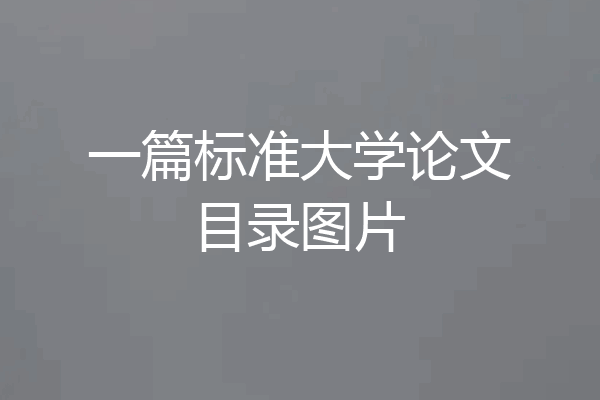 一篇标准大学论文目录图片