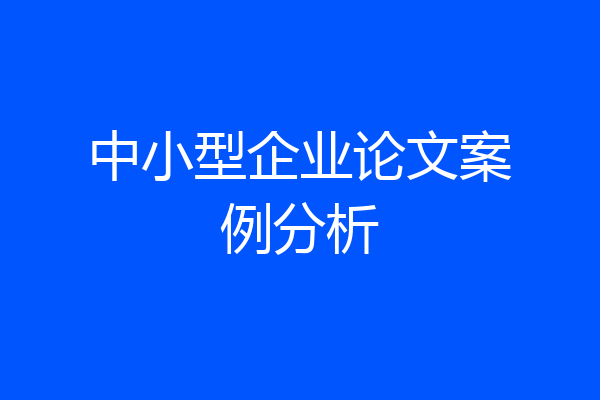 中小型企业论文案例分析