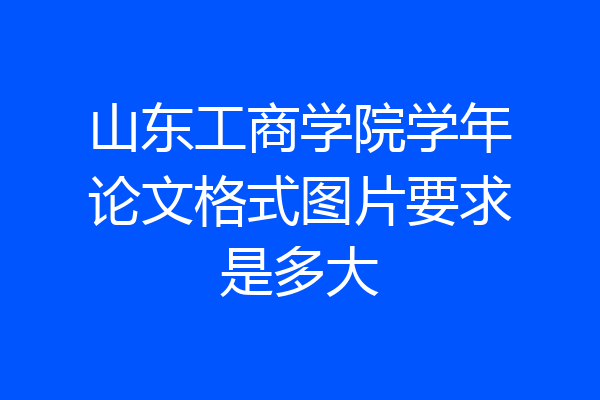 山东工商学院学年论文格式图片要求是多大