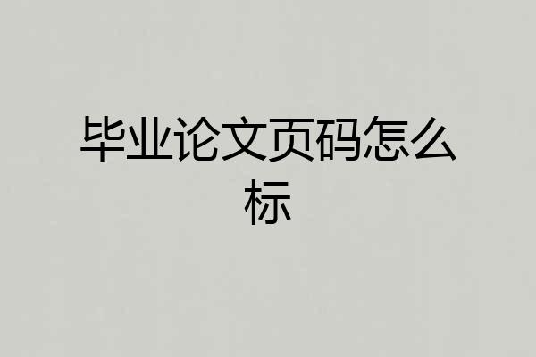 毕业论文页码怎么标