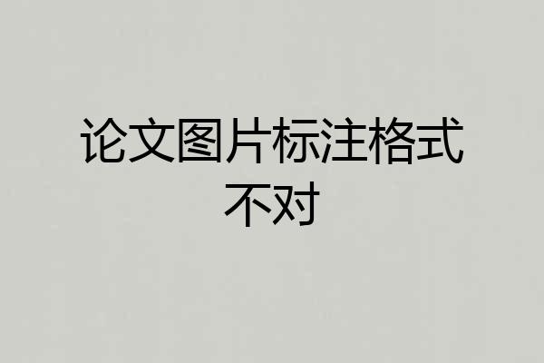 论文图片标注格式不对