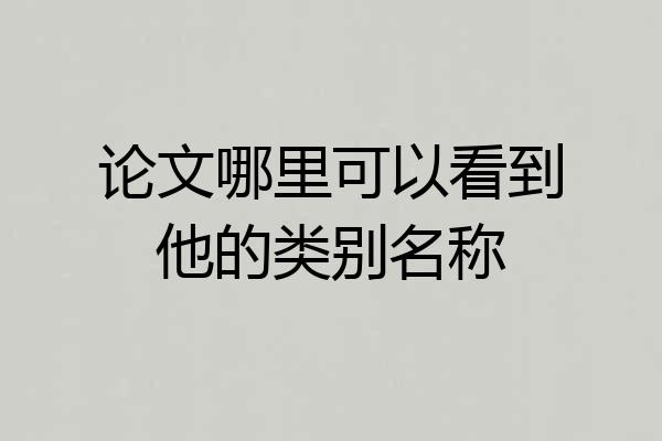论文哪里可以看到他的类别名称