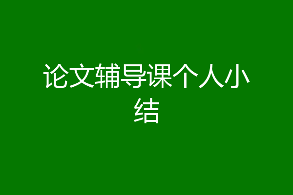 论文辅导课个人小结