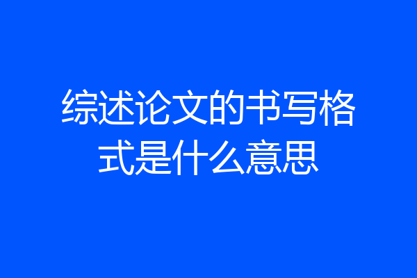 综述论文的书写格式是什么意思