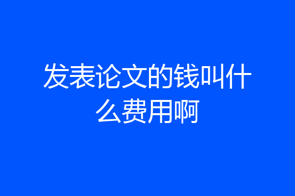 发表论文的钱叫什么费用啊