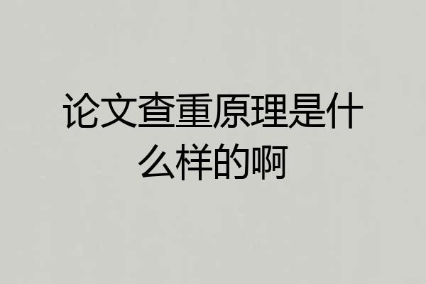 论文查重原理是什么样的啊