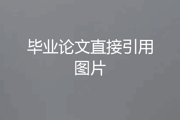 毕业论文直接引用图片