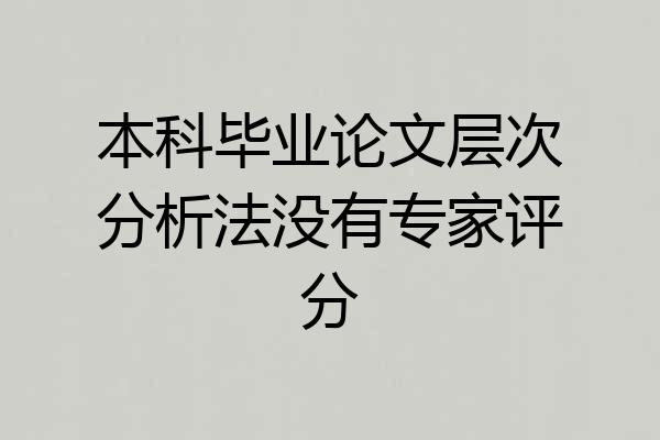 本科毕业论文层次分析法没有专家评分