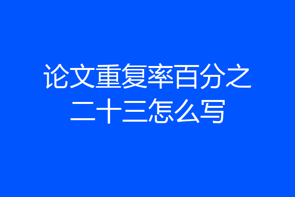 论文重复率百分之二十三怎么写