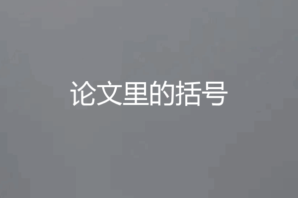论文里的括号
