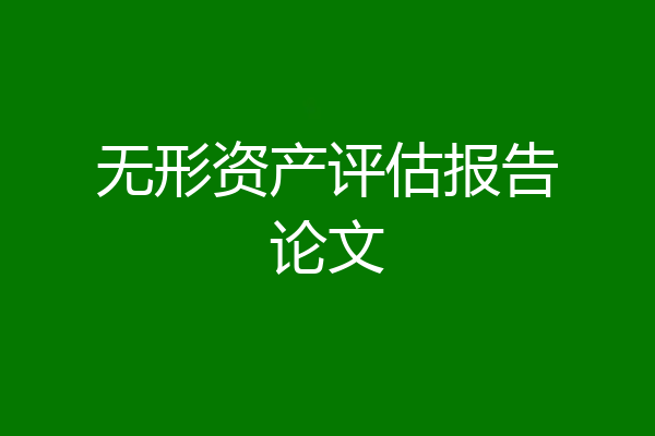 无形资产评估报告论文