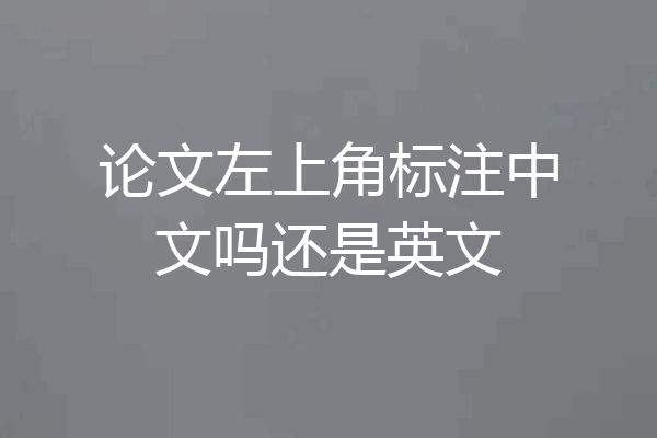 论文左上角标注中文吗还是英文