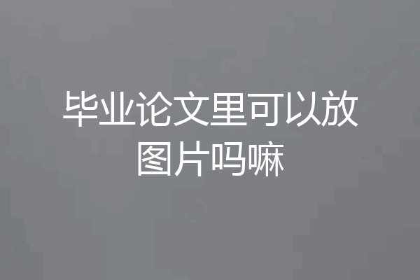 毕业论文里可以放图片吗嘛
