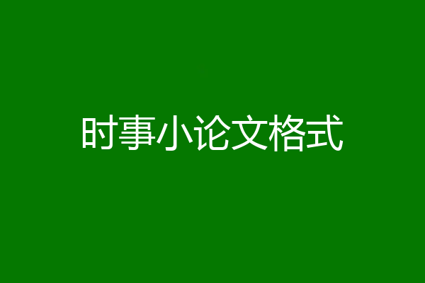 时事小论文格式