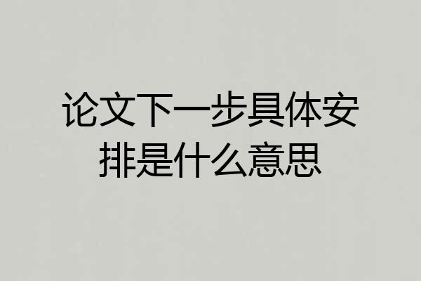 论文下一步具体安排是什么意思