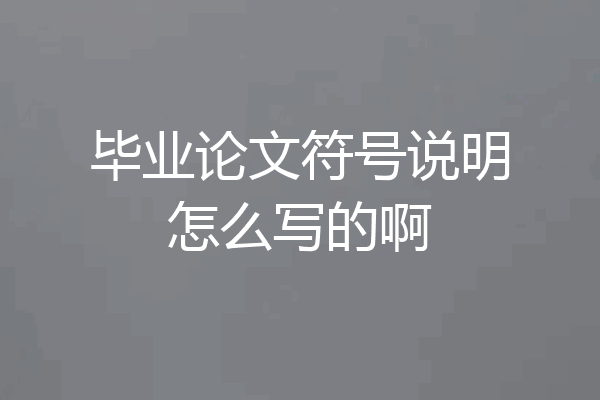 毕业论文符号说明怎么写的啊