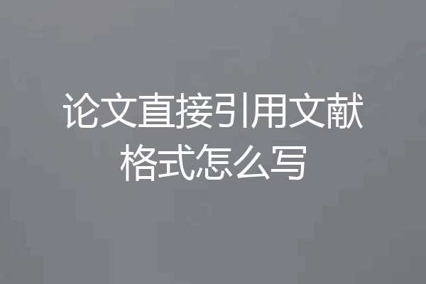 论文直接引用文献格式怎么写