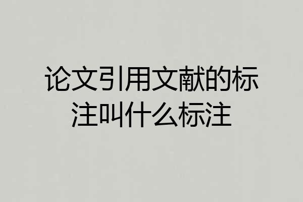 论文引用文献的标注叫什么标注