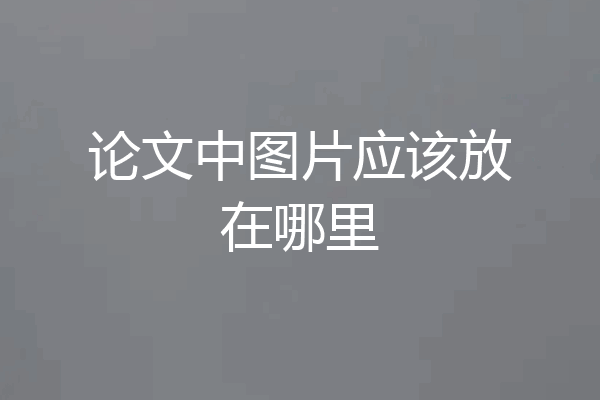 论文中图片应该放在哪里