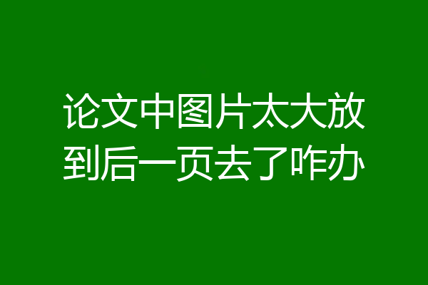 论文中图片太大放到后一页去了咋办