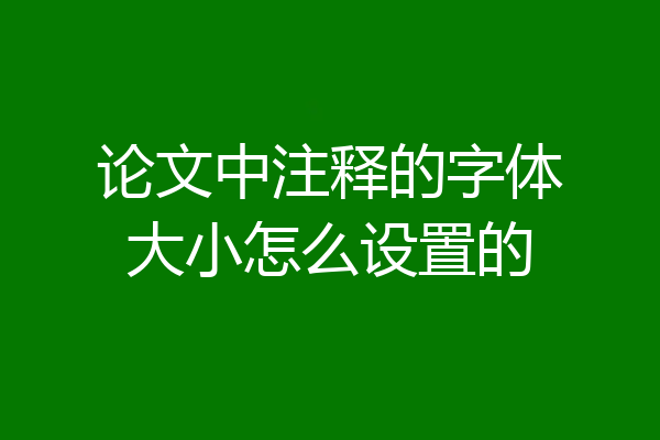 论文中注释的字体大小怎么设置的